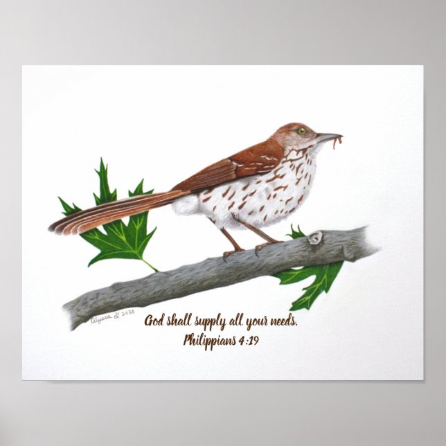 Brown Thrasher 14x11 Inspirational Print (Front)