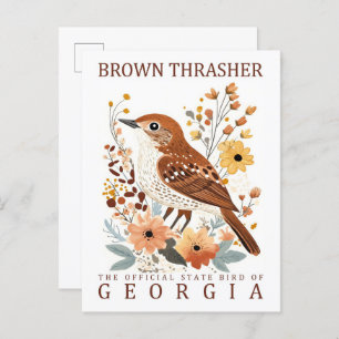 Brown Thrasher Bird of Georgia USA Travel Postcard