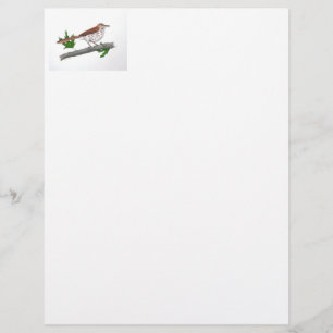 Brown Thrasher Stationery