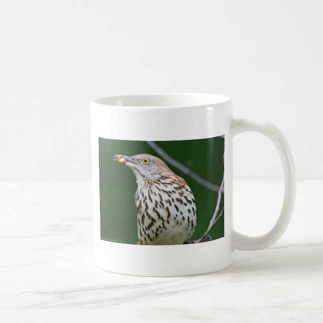Brown Thrasher w/ Catch Of the Day Gifts Apparel Coffee Mug (Right)