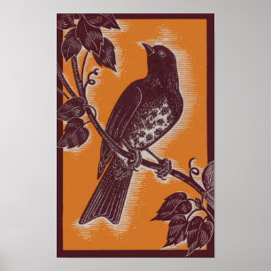 brown thrush with orange poster