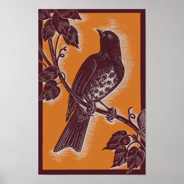 brown thrush with orange poster (Front)