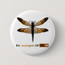 Brown-tone Dragonfly