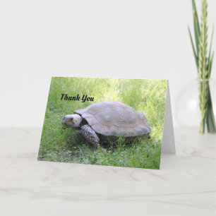 Brown Tortoise Thank You Card