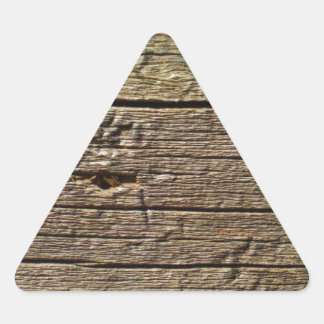 brown tree wood triangle sticker