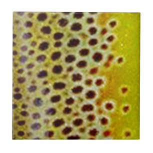 Brown Trout by PatternWear© Tile