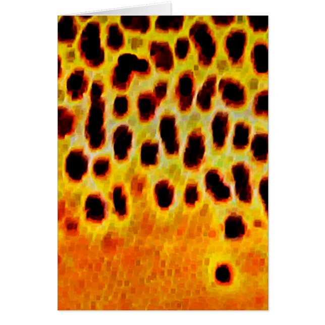 Brown Trout - Card (Front)