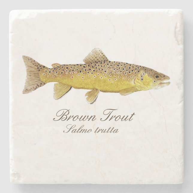 Brown Trout Coaster (Front)