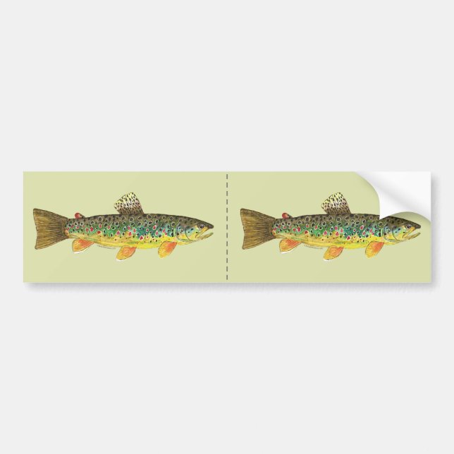 Brown Trout Fishing Bumper Sticker (Front)