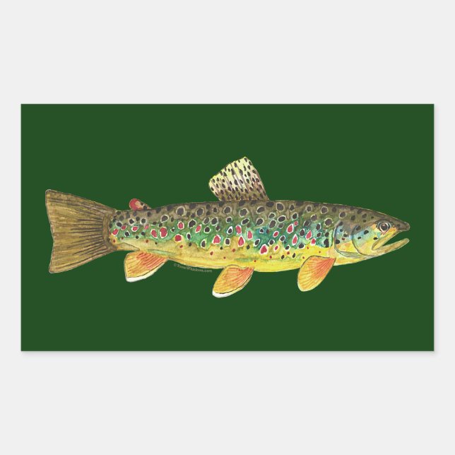Brown Trout Fishing Sticker (Front)
