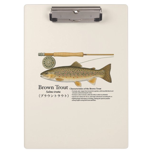 Brown Trout Fly Fishing Illustration Clipboard (Front)