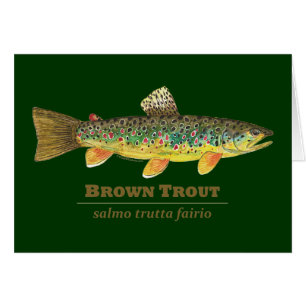 Brown Trout Latin Ichthyology