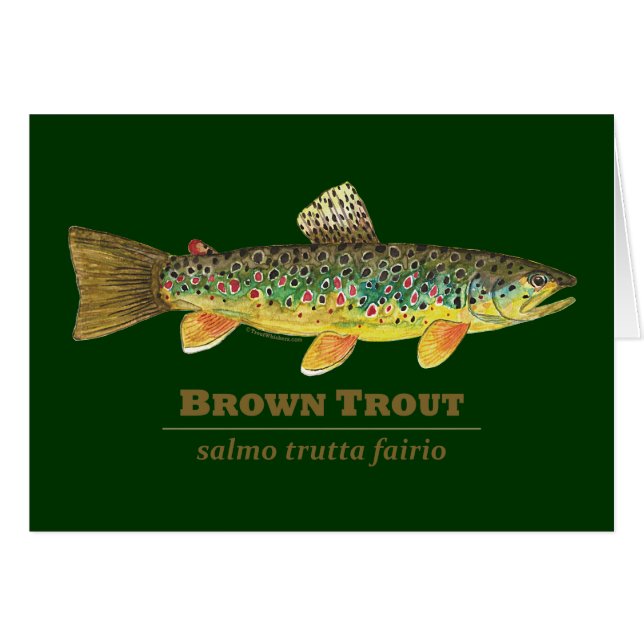 Brown Trout Latin Ichthyology (Front Horizontal)