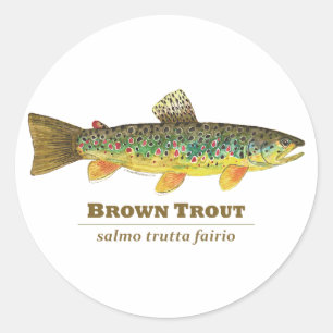 Brown Trout Latin Ichthyology Classic Round Sticker