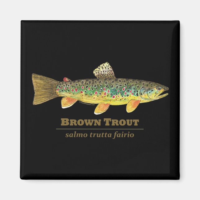 Brown Trout Latin Ichthyology Magnet (Front)