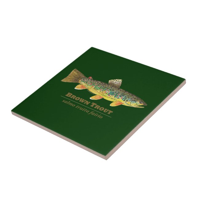 Brown Trout Latin Ichthyology Tile (Side)