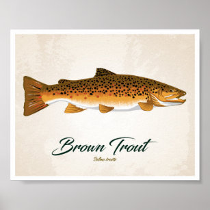 Brown Trout Poster