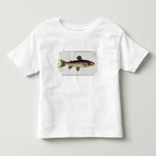 Brown Trout (Salmo Iasustris) plate XXIII from 'Ic Toddler T-shirt
