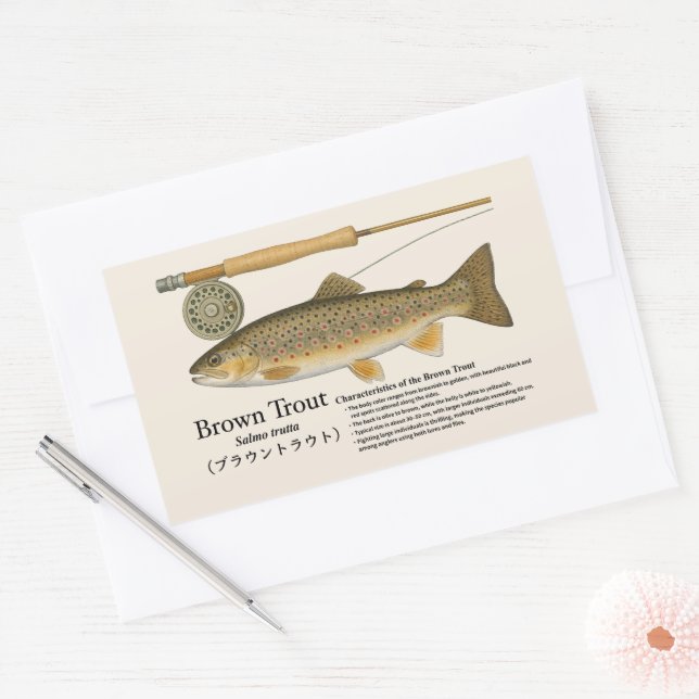 Brown Trout (Salmo trutta) – English Illust Sticker (Envelope)