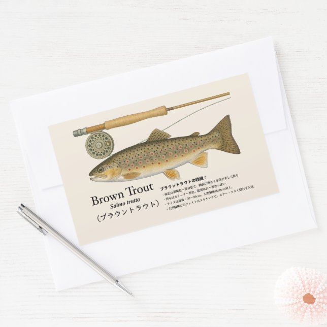 Brown Trout (Salmo trutta) – Japanese Illust Sticker (Envelope)