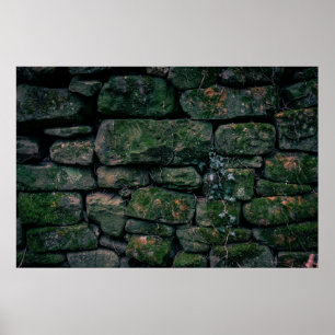 Brown vines on stacked stone blocks poster