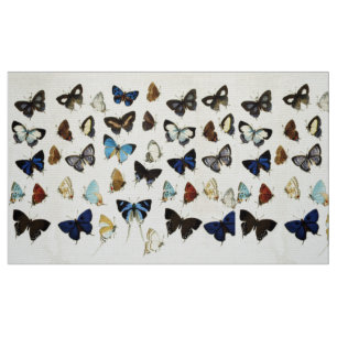 BROWN WHITE BLUE  BUTTERFLIES Beauty Nature Lover Fabric