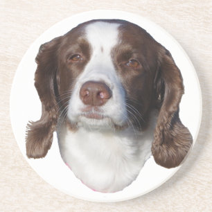Brown & White Dog sandstone coasters