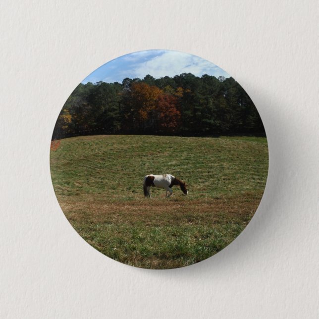 Brown & White horse 2 Inch Round Button (Front)