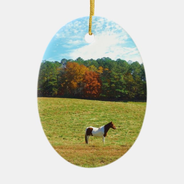 Brown & White horse,autumn trees,blue sky Ceramic Ornament (Front)