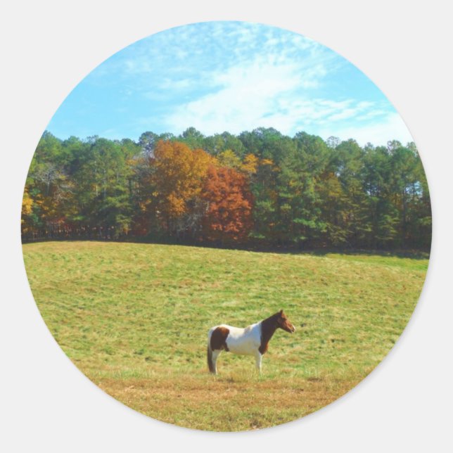 Brown & White horse,autumn trees,blue sky Classic Round Sticker (Front)