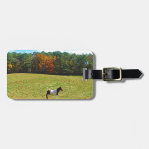 Brown & White horse,autumn trees,blue sky Luggage Tag