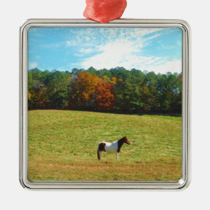 Brown & White horse,autumn trees,blue sky Metal Ornament