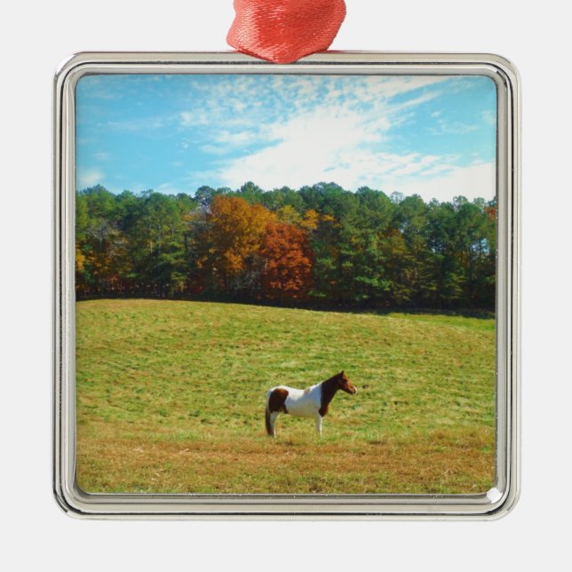 Brown & White horse,autumn trees,blue sky Metal Ornament (Front)