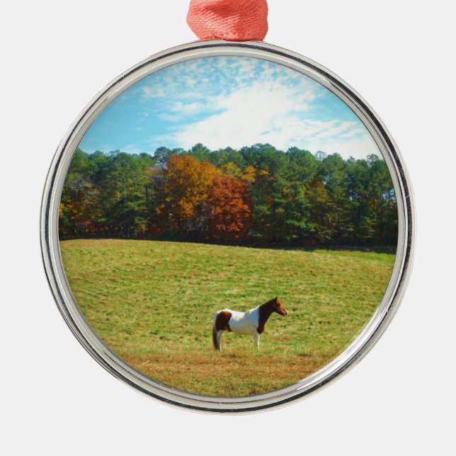 Brown & White horse,autumn trees,blue sky Metal Ornament (Front)