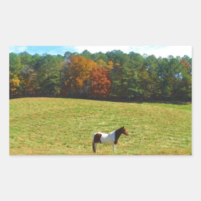 Brown & White horse,autumn trees,blue sky Sticker (Front)