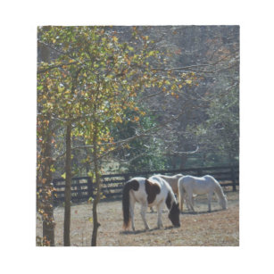 Brown &White Painted Horse and Cream Horse Notepad