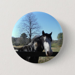 Brown &White, Painted Horse, bright blue sky 2 Inch Round Button