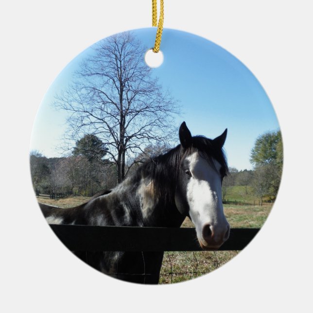 Brown &White, Painted Horse, bright blue sky Ceramic Ornament (Front)