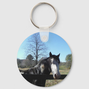 Brown &White, Painted Horse, bright blue sky Keychain