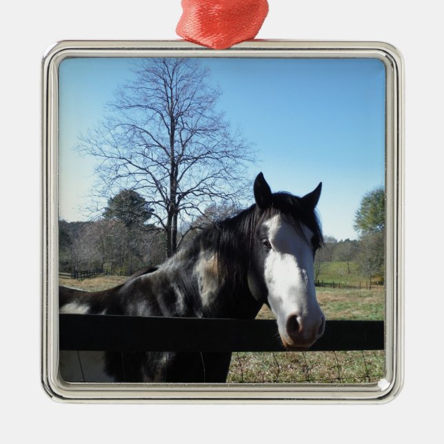 Brown &White, Painted Horse, bright blue sky Metal Ornament (Front)