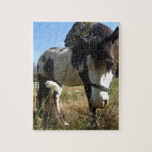 Brown &White, Painted Horse, Queen Ann Lace flower Jigsaw Puzzle