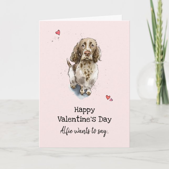 Brown & white Springer Spaniel dog Valentine’s day Card (Front)