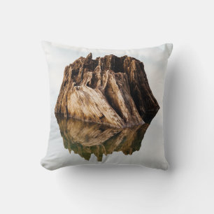 BROWN WOODEN FRAME THROW PILLOW