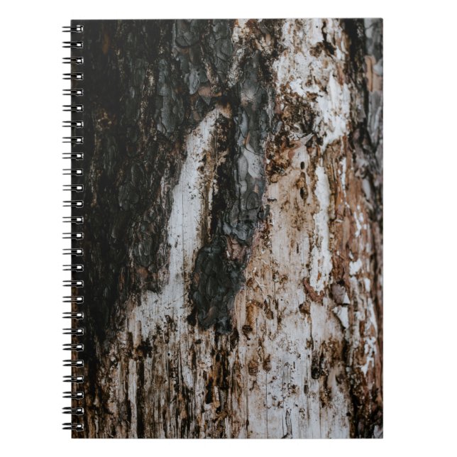 Brown wooden log notebook (Front)