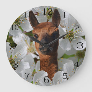Brown Young Alpaca With Blossoms, Large Clock