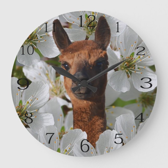 Brown Young Alpaca With Blossoms, Large Clock (Front)