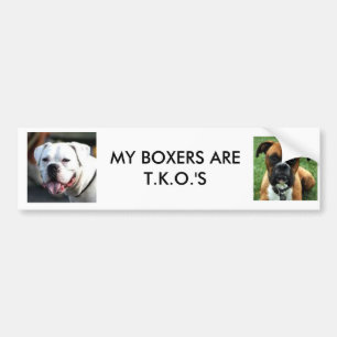 brownboxer, WHITE BOXER FACE, MY BOXERS ARE T.K... Bumper Sticker