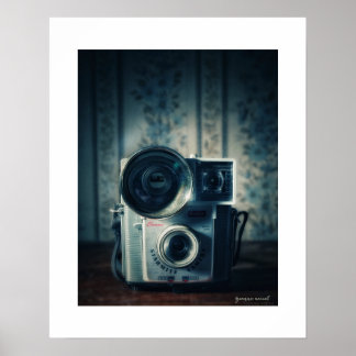 Brownie Starmite Poster Print