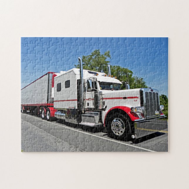 Brubaker Big Bunk 389 Puzzle (Horizontal)