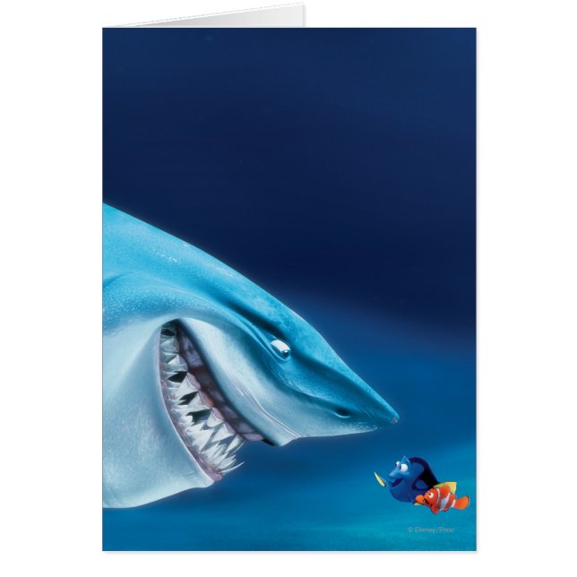 Bruce, Nemo et Dory 1 (Devant)